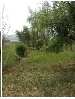 19̖(ho) ɽǧɽ^(q)|ɽ(zhn)|Ӵ弯wʹÙ(qun)