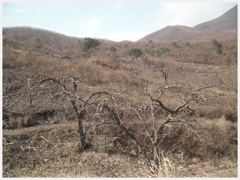 21̖ RL(fng)(zhn)ʯ֙(qun)